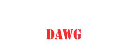 Dent Dawg Florida